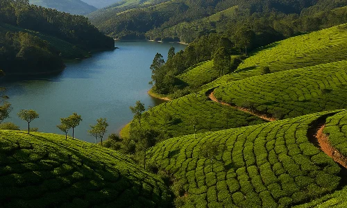 MUNNAR, KERALA